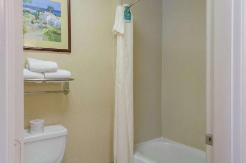 La salle de bains est pourvue d'un rideau de douche et de toilettes. dans l'établissement Homewood Suites by Hilton College Station, à College Station
