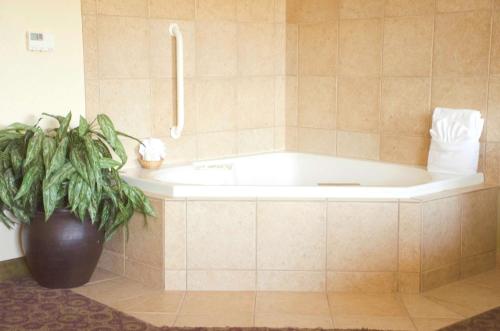a bath tub in a bathroom with a plant at Hampton Inn & Suites College Station in College Station