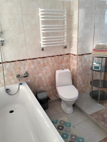 a bathroom with a toilet and a bath tub at Вілла Сади Єви in Lyubintsy