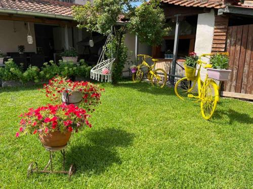 two yellow bikes parked in a yard with flowers at Póe home Trikala in Tríkala