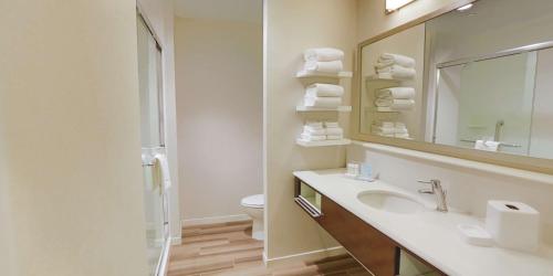 a bathroom with a sink and a mirror and a toilet at Hampton Inn & Suites Charlotte/Ballantyne, Nc in Charlotte