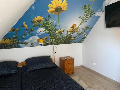 TV a/nebo společenská místnost v ubytování Apartament Pod Zamczyskiem