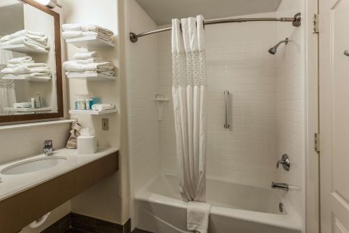 a white bathroom with a sink and a shower at Hampton Inn Colorado Springs-Airport in Colorado Springs