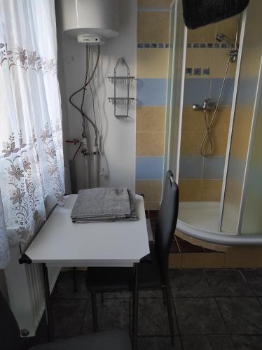 a table and a shower with a white table and chairs at U lesa in Bohutín