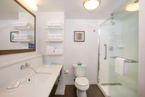 a bathroom with a toilet and a glass shower at Hampton Inn & Suites - Cincinnati/Kenwood, OH in Cincinnati