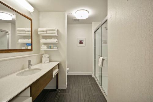 a bathroom with a sink and a mirror and a shower at Hampton Inn Blue Ash/Cincinnati, OH in Blue Ash