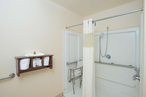 a bathroom with a shower and a glass door at Hampton Inn & Suites Cincinnati-Union Centre in West Chester