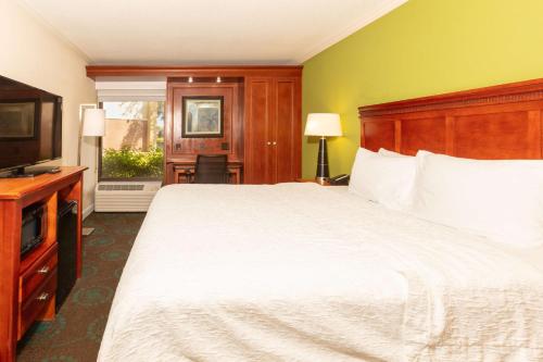 een slaapkamer met een groot bed en een televisie bij Hampton Inn Daytona Speedway-Airport in Daytona Beach