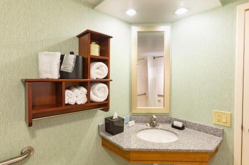 uma casa de banho com lavatório, espelho e toalhas em Hampton Inn Daytona Speedway-Airport em Daytona Beach