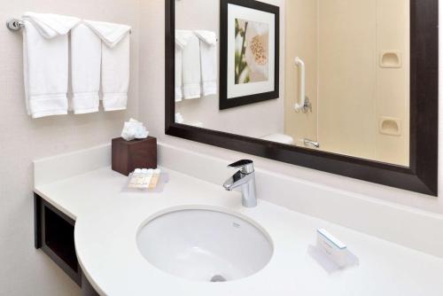 uma casa de banho com um lavatório e um espelho em Hilton Garden Inn Addison em Addison