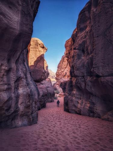 a person walking through a canyon in the desert at Wadi Rum Nature Stars Camp in Wadi Rum