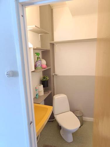 a bathroom with a white toilet and a yellow sink at Rauhallinen kaksio, puusauna käytettävissä in Varkaus