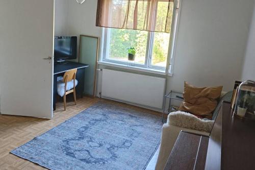 a living room with a blue rug and a window at Rauhallinen kaksio, puusauna käytettävissä in Varkaus