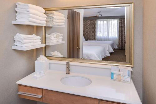 デンバーにあるHampton Inn & Suites Denver-Speer Boulevardのバスルーム(洗面台、鏡付)