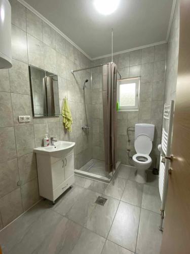 a bathroom with a shower and a toilet and a sink at Apartmani Bella in Krževići