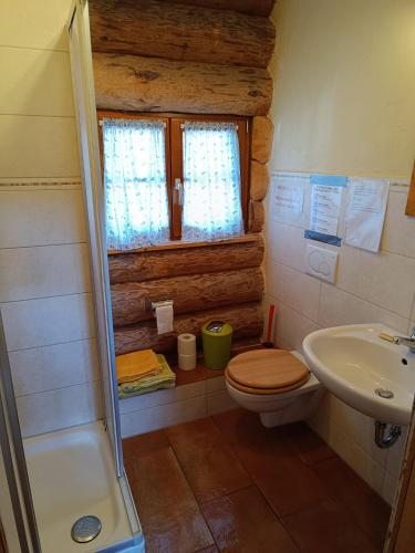 a small bathroom with a toilet and a sink at Blockhaustraum in Titisee-Neustadt