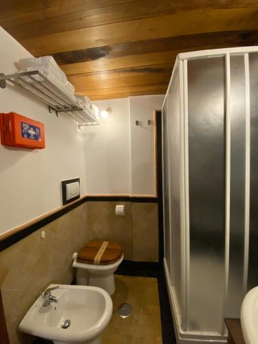 La salle de bains est pourvue de toilettes, d'un lavabo et d'une douche. dans l'établissement Il Loft del Lago, à Anguillara Sabazia