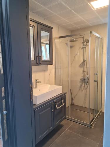 a bathroom with a sink and a shower at Villa Yılmaz dream holiday in Kuşadası