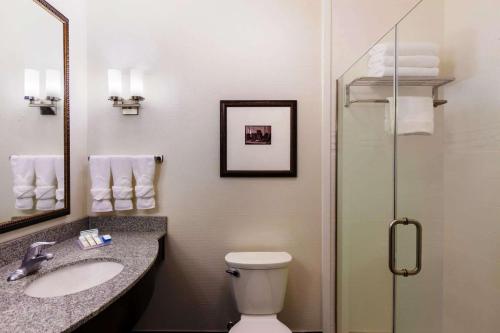 uma casa de banho com um WC, um lavatório e um chuveiro em Hilton Garden Inn Denison/Sherman/At Texoma Event Center em Sherman