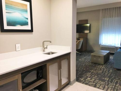 ザ・コロニーにあるHampton Inn & Suites Dallas-The Colonyのシンクとリビングルームが備わるホテルルームです。