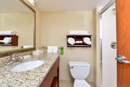 W łazience znajduje się umywalka, toaleta i lustro. w obiekcie Hampton Inn Detroit/Auburn Hills South w mieście Auburn Hills