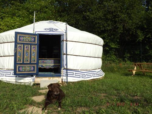 Gallery image of Camping Les insolites de la Baie in Longroy