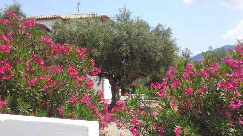 Γενική θέα στο βουνό ή θέα στο βουνό από  αυτό το διαμέρισμα