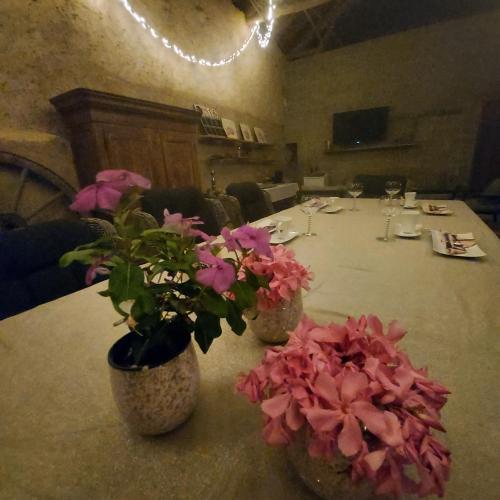 two vases with flowers on a table in a room at LES TROIS L in Gindou