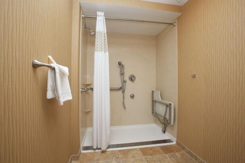 La salle de bains est pourvue d'une douche avec rideau de douche. dans l'établissement Hampton Inn Elmira/Horseheads, à Horseheads