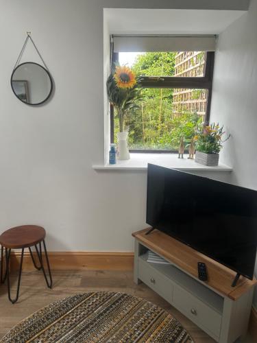 a living room with a television and a window at Belle Vue Cottage sleeps 2 one dog by prior permission in Barnard Castle
