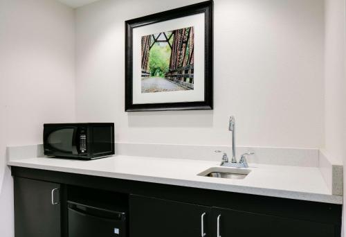 a bathroom with a sink and a picture on the wall at Hampton Inn & Suites Kenosha in Kenosha