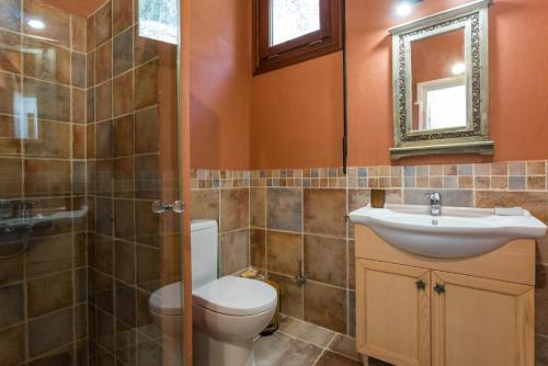 uma casa de banho com um WC, um lavatório e um espelho. em Villa Diona em Panormos