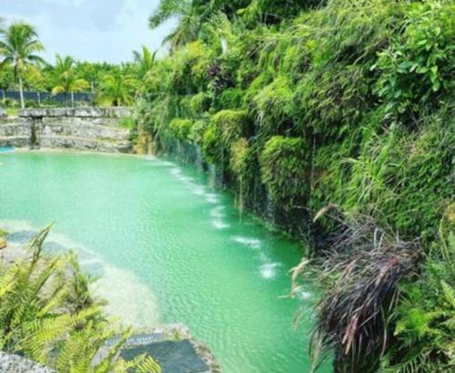 a pool of green water next to a hill with trees at Insta Worthy Modern Bungalow in Homestead