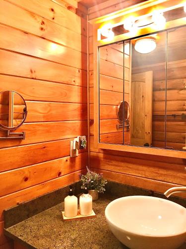 a bathroom with a sink and a mirror at Mountain-Top-Hideaway Stay in a log cabin on a private rd! Swim, hike, explore a true mountain experience in North Blenheim