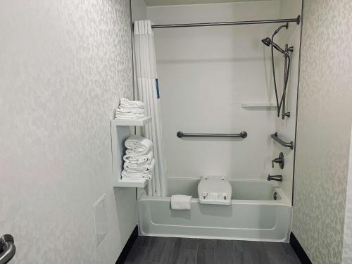 Ένα μπάνιο στο Hampton Inn Fort Stockton