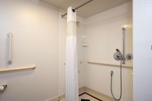 a bathroom with a shower with a glass door at Hampton Inn Grand Rapids-South in Wyoming
