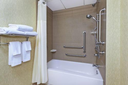 a bathroom with a tub and a shower with towels at DoubleTree by Hilton Holland in Holland