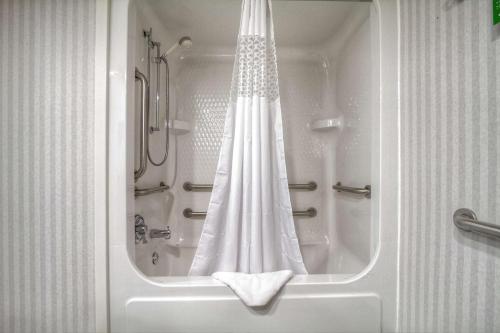 uma casa de banho com chuveiro e cortina de chuveiro em Hampton Inn Goldsboro em Goldsboro