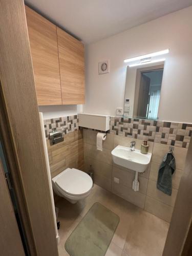 a small bathroom with a toilet and a sink at Pap köz apartman in Sárvár