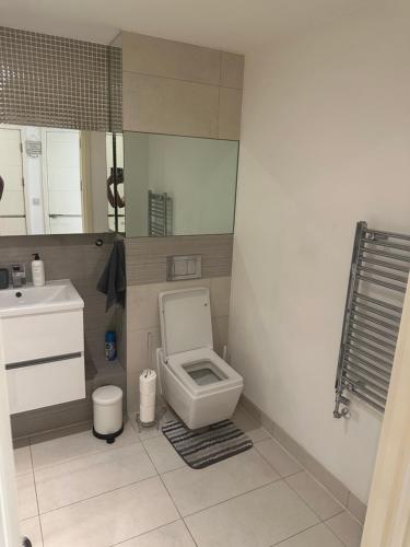 La salle de bains est pourvue de toilettes et d'un lavabo. dans l'établissement Luxury one bedroom apartment, à Londres