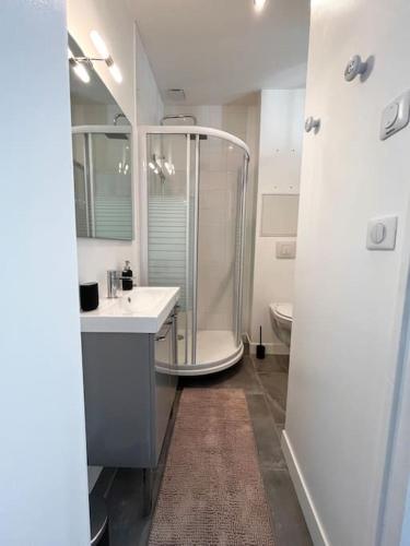 une salle de bains avec douche, lavabo et toilettes dans l'établissement La Capitainerie, au Tréport