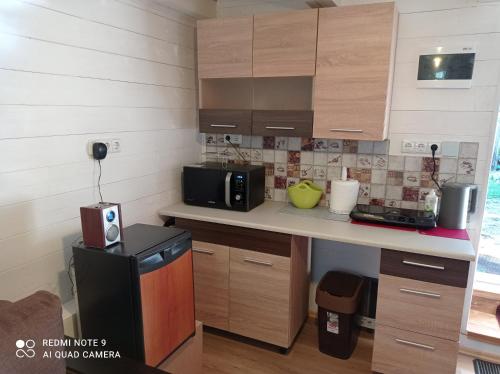 eine kleine Küche mit einer Theke und einer Mikrowelle in der Unterkunft RYTO GARSAI in Merkinė