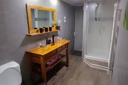 een badkamer met een wastafel en een douche bij Duplex Camélia T3 avec jardin in Clohars-Carnoët