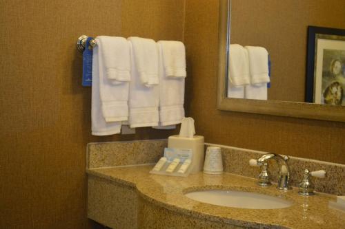 Ванна кімната в Hilton Garden Inn Houston-Pearland