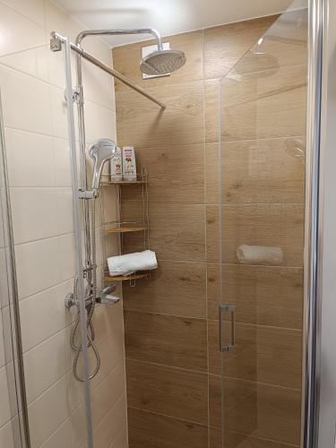 a shower with a glass door in a bathroom at Studio apartman Krležina in Varaždin