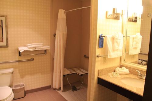 a bathroom with a shower and a toilet and a sink at Hilton Garden Inn Houston West Katy in Katy