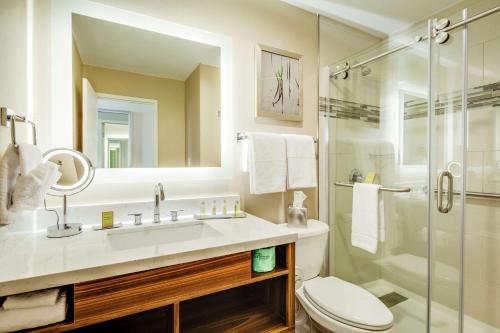 La salle de bains est pourvue d'un lavabo, d'une douche et de toilettes. dans l'établissement DoubleTree by Hilton Huntington, WV, à Huntington