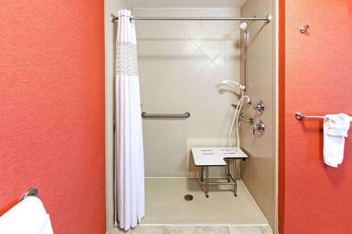 a bathroom with a shower with a shower curtain at Hampton Inn & Suites Morgan City in Morgan City