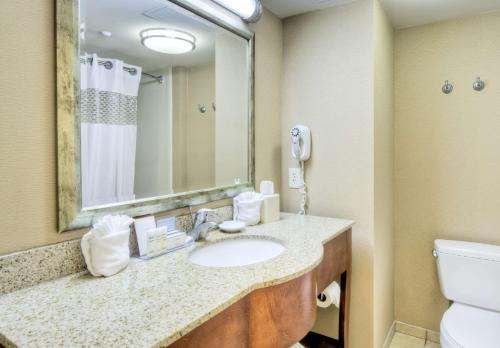 ein Badezimmer mit einem Waschbecken, einem WC und einem Spiegel in der Unterkunft Hampton Inn Wilmington University Area in Wilmington