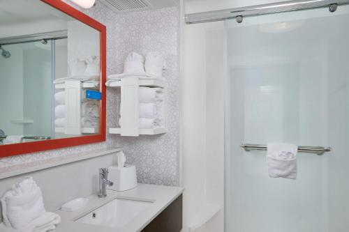 a bathroom with a sink and a mirror and a shower at Hampton Inn Wilmington-Medical Park in Wilmington